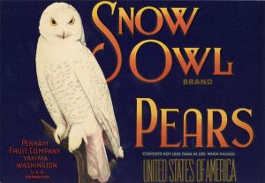 Snow Owl Brand Pears - Fruit Crate Label - Perham Fruit Company of Yakima, Washington