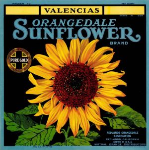 Valencias Orangedale Sunflower - Fruit Crate Label