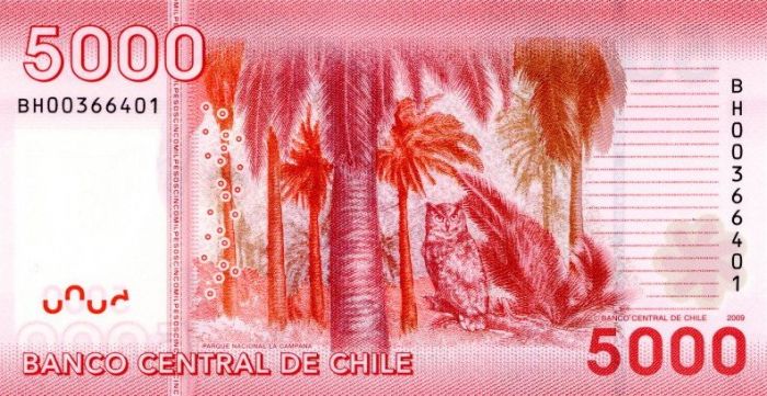 Chile - 5000 Chilean Pesos Polymer - P-163a - 2009 Dated Foreign Paper Money