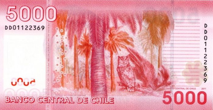 Chile  - 5,000 Chilean Polymer Pesos - P163  - 2011 Dated Foreign Paper Money