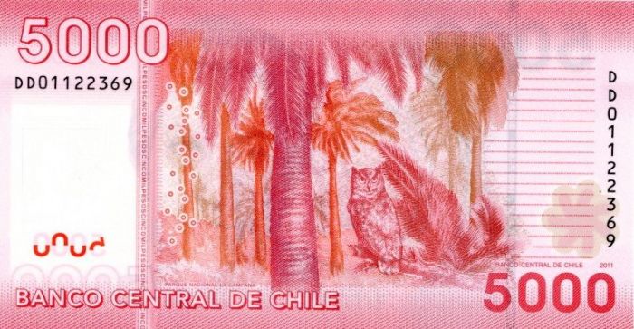 Chile  - 5,000 Chilean Polymer Pesos - P163b  - 2011 Dated Foreign Paper Money
