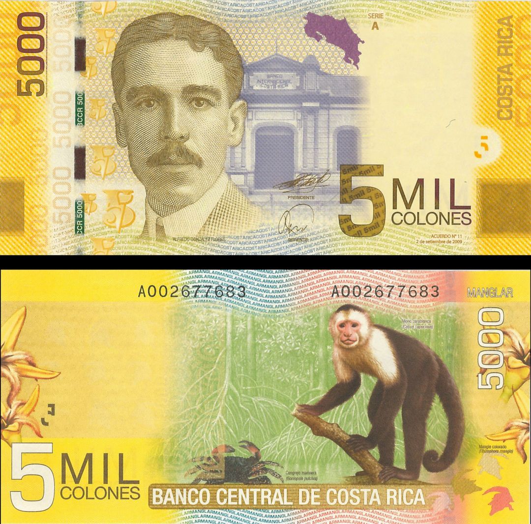 Costa Rica - 5000 Colones - P-276 - 2009 dated Foreign Paper Money