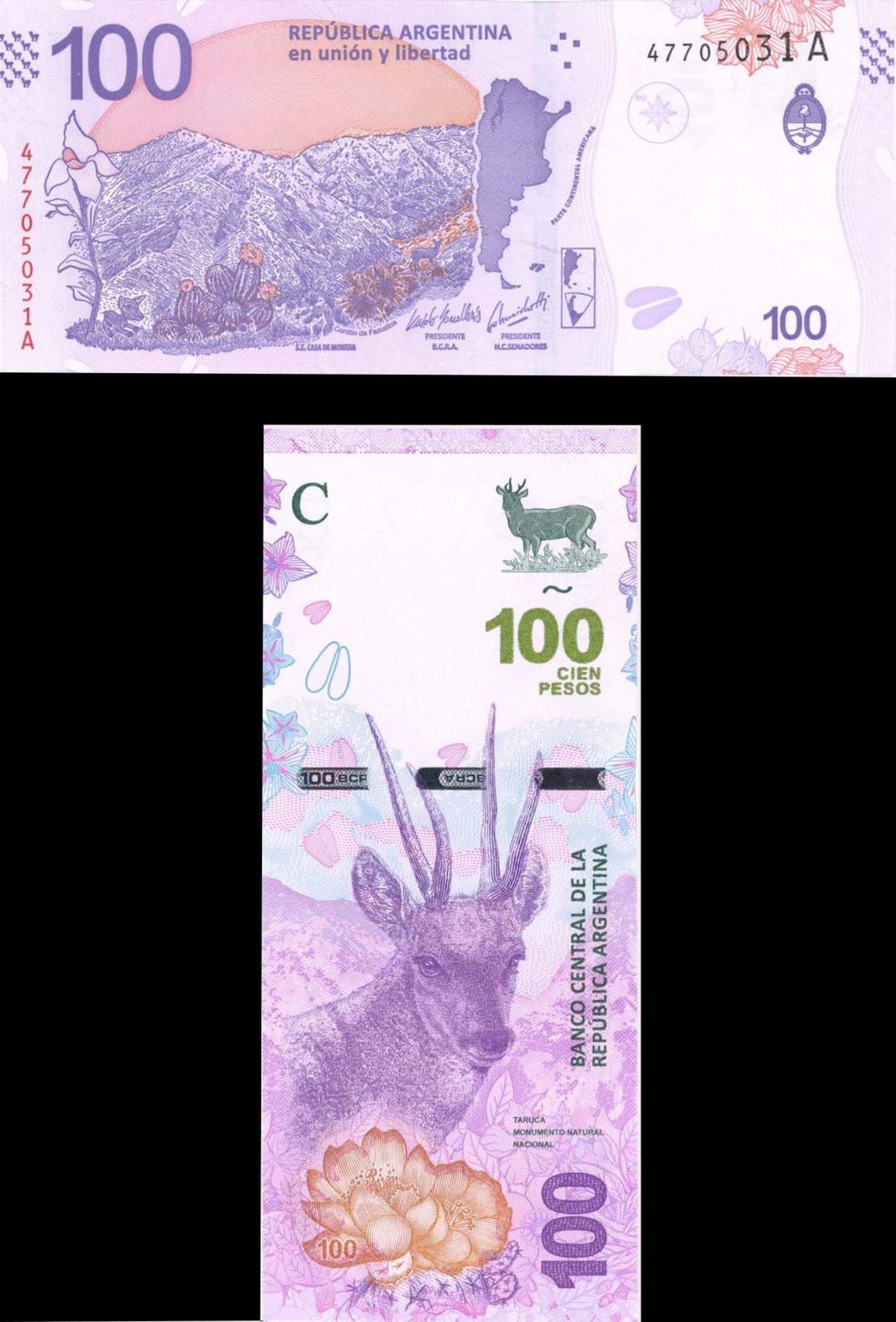 Argentina - 100 Pesos - P-NEW - Foreign Paper Money