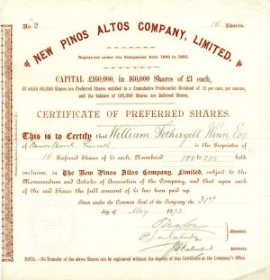 New Pinos Altos Co., Limited - 1893 dated England Stock Certificate - United Kingdom Share - Possibly New Mexico