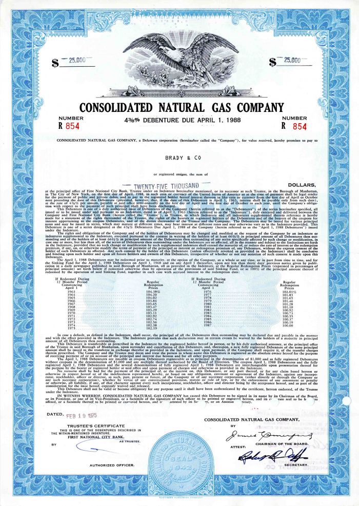 Consolidated Natural Gas Co. - Bond
