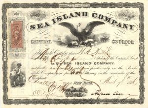 Sea Island Co. - Cotton History - Gorgeous 1860 dated South Carolina, Georgia, & Florida Stock Certificate - Great History!