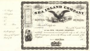Sea Island Co. - Cotton History - Gorgeous 1860's circa South Carolina, Georgia, & Florida Stock Certificate - Great History!