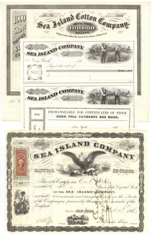 Collection of 4 (Four) Sea Island Co. Items - Cotton - South Carolina, Georgia, & Florida - Great History!