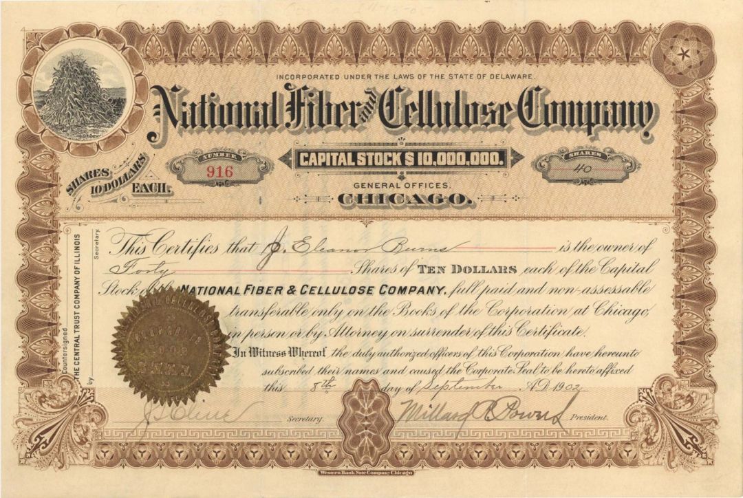 National Fiber and Cellulose Co. - 1902 dated Stock Certificate