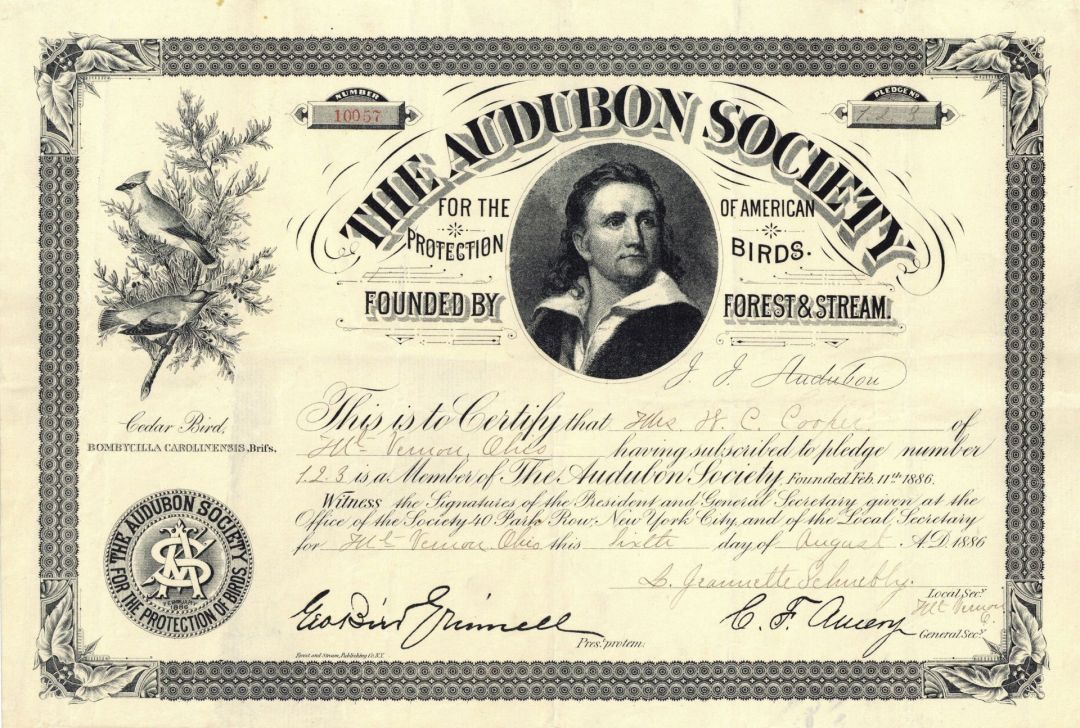 Audubon Society - Stock Certificate - For the Protection of American Birds - Very Historic