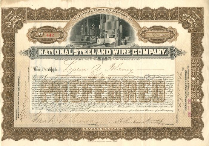 National Steel and Wire Co. - 1902 dated Stock Certificate - Gorgeous Vignette