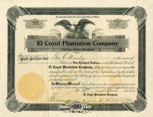 El Coyol Plantation Co.