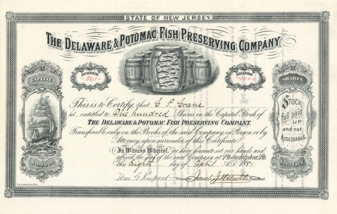 Delaware and Potomac Fish Preserving Co. - Unique Fish Vignette - Stock Certificate