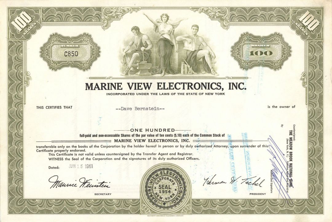 Marine View Electronics, Inc. - Stock Certificate