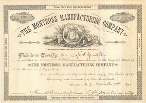 Montross Manufacturing Co. - 1891 dated Stock Certificate