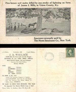 Postcard for Home Insurance Co., N.Y. established 1888 -  Insurance