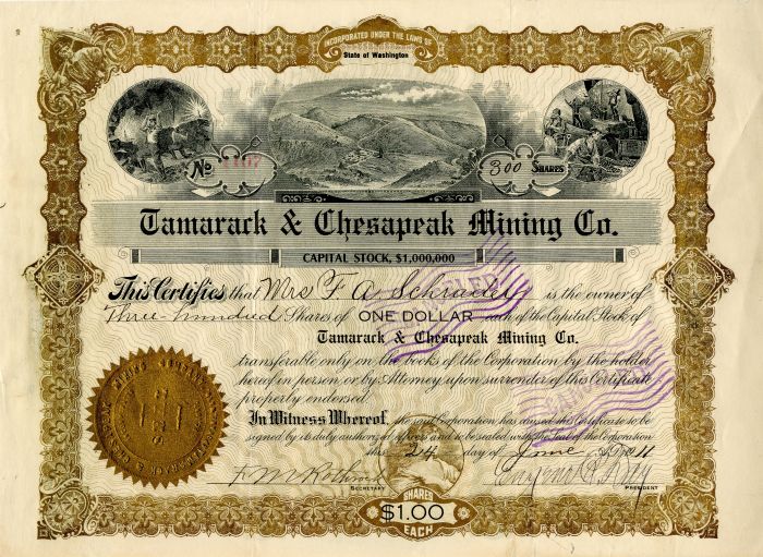 Tamarack and Chesapeak Mining Co. - Mining Stock Certificate