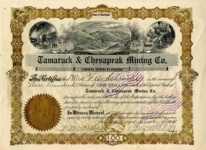 Tamarack and Chesapeak Mining Co. - Mining Stock Certificate