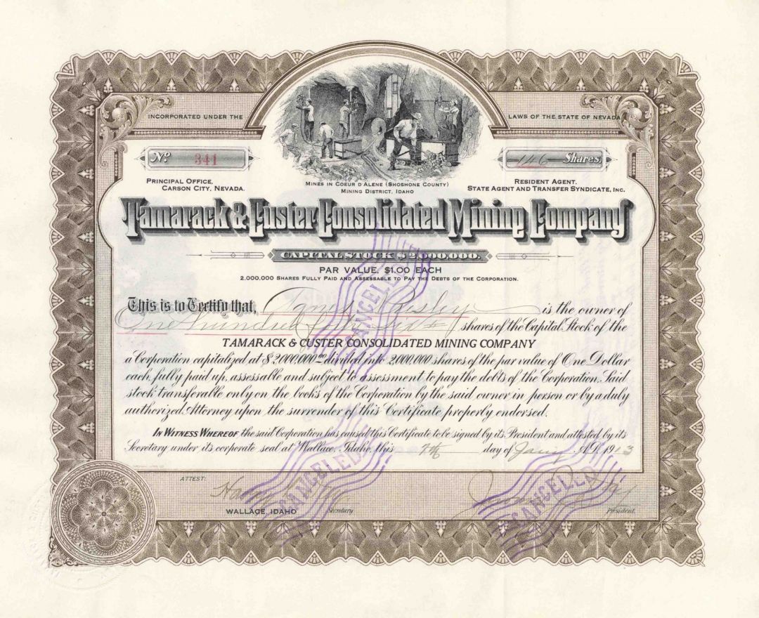 Tamarack and Custer Consolidated Mining Co. - 1910-15 dated Idaho Mining Stock Certificate - Wonderful History