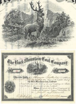 Buck Mountain Coal Co. - 1880 dated Pennsylvania Mining Stock Certificate
