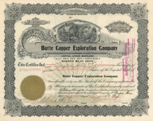 Butte Copper Exploration Co. - Stock Certificate