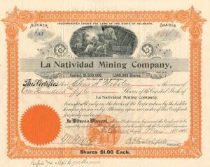 La Natividad Mining Co. - Stock Certificate