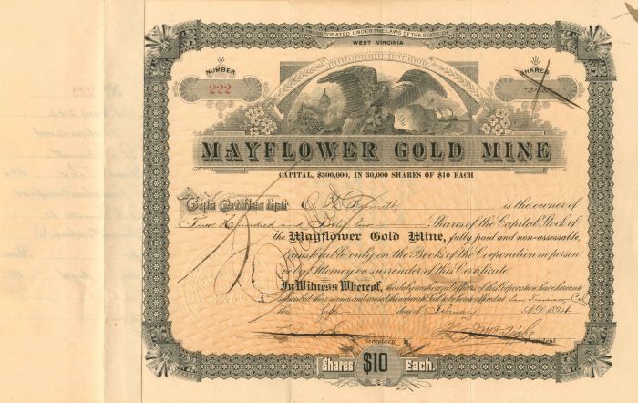 Mayflower Gold Mine - Stock Certificate