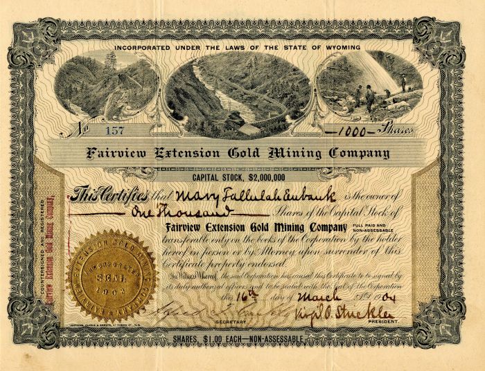 Fairview Extension Gold Mining Co.