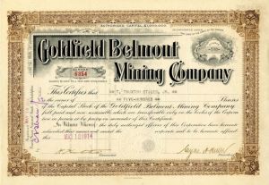 Goldfield Belmont Mining Co.