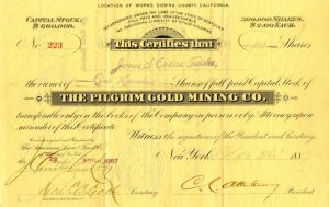 Pilgrim Gold Mining Co.