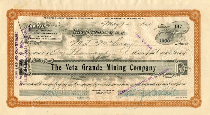 Veta Grande Mining Co. - Stock Certificate