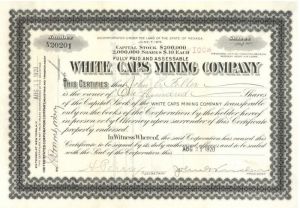 White Caps Gold Mining Co. - Stock Certificate