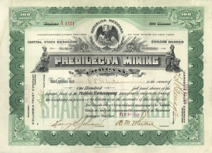 Predilecta Mining Company - Stock Certificate