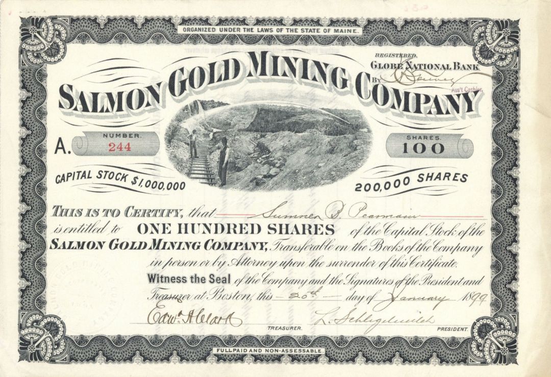 Salmon Gold Mining Co. - Stock Certificate