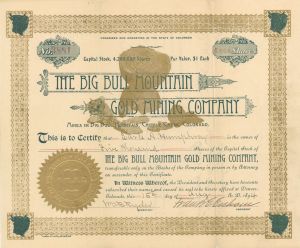 Big Bull Mountain Gold Mining Co. - Stock Certificate