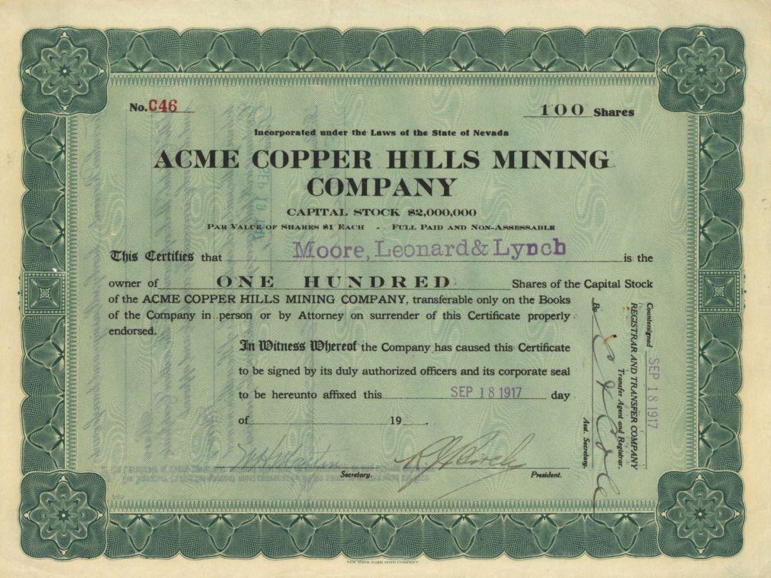 Acme Copper Hills Mining Co. - Stock Certificate