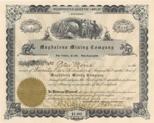 Magdalena Mining Co. - 1907 dated Stock Certificate