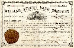 William Street Land Co. of Cheektowaga, Erie County, N.Y. - 1887 dated New York Stock Certificate