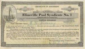 Eliasville Pool Syndicate No. 1 - Stock Certificate