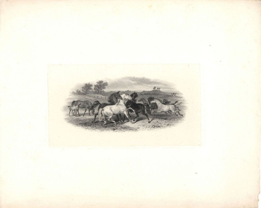 Proof - Horses - 1850's dated
