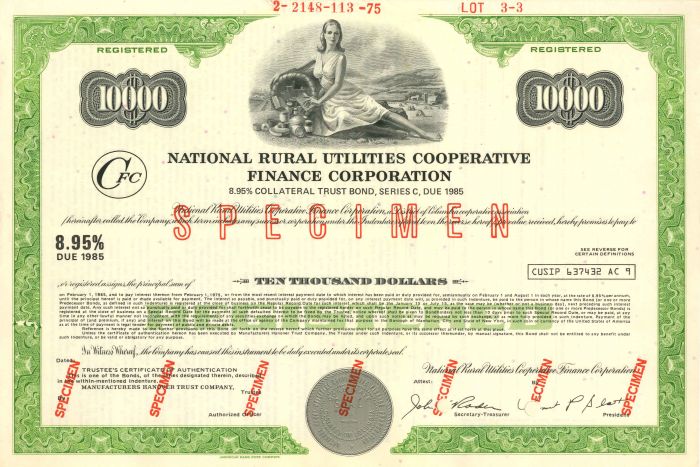 National Rural Utilities Cooperative Finance Corporation - $10,000 Bond