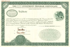 ICT Investment Program Certificate