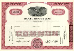 Budget Finance Plan