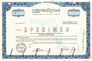 Paradyne Corporation