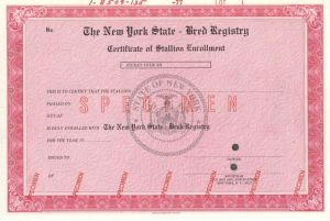 New York State - Bred Registry - Specimen Stock