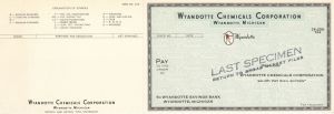 Wyandotte Chemicals Corp. - Specimen Stock Certificate
