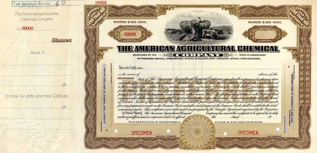 American Agricultural Chemical Co. - Specimen Stock Certificate