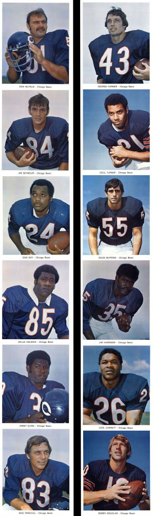 Football - 12 NFL Chicago Bears Photos Set - Sports Memorabilia