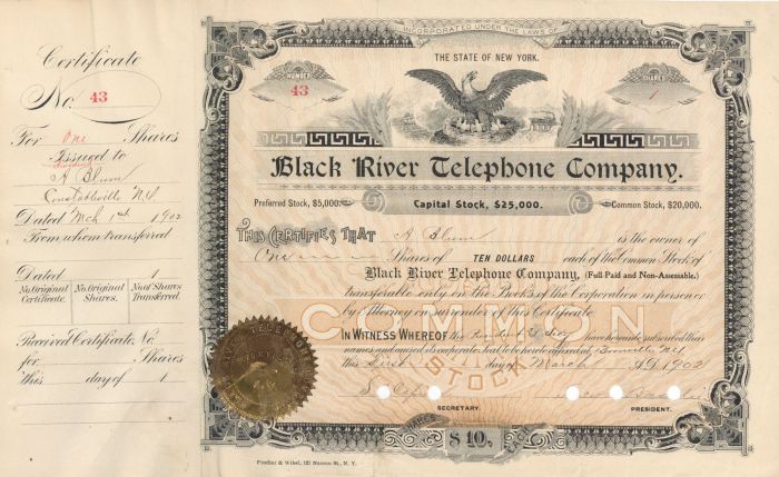 Black River Telephone Co. - 1900-1902 dated New York Utility Stock Certificate