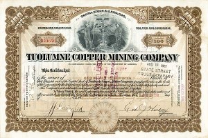 Tuolumne Copper Mining Co. - Stock Certificate